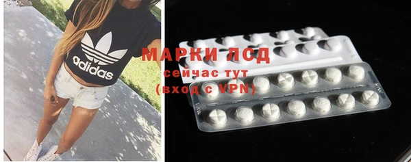 гидра Дмитров