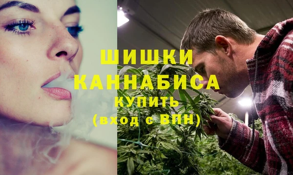 гидра Дмитров