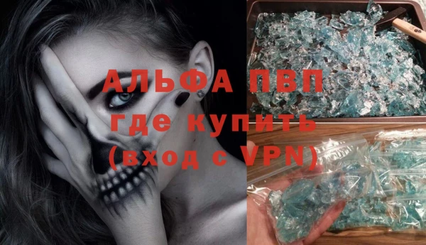 гидра Дмитров
