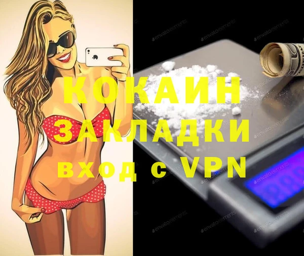 гидра Дмитров