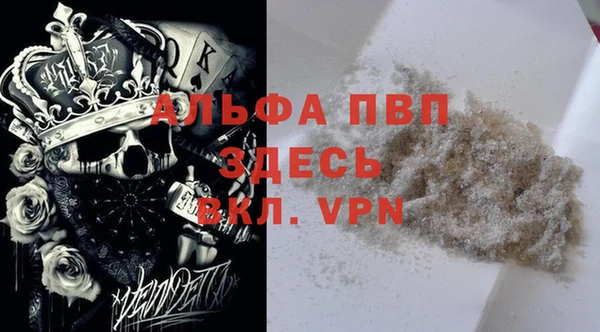 гидра Дмитров