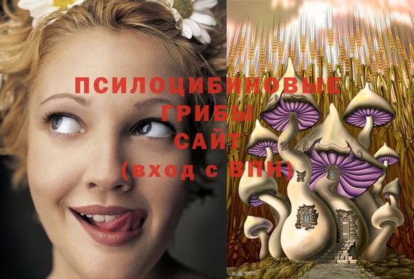 ALPHA PVP Гусиноозёрск