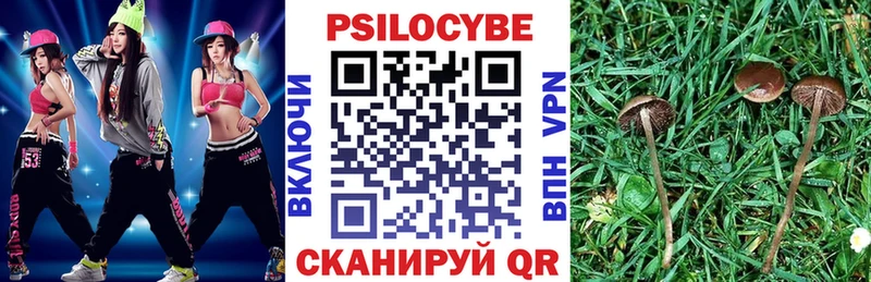 Псилоцибиновые грибы Cubensis  Купить закладки  Каргополь 